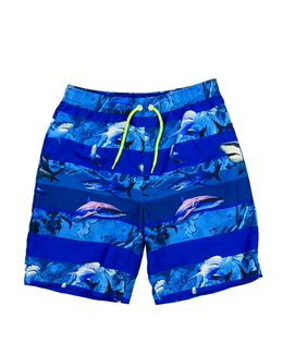 Modré plážové kraťasy Bluezoo