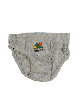 Nové šedé slipy s dinosaurem Primark