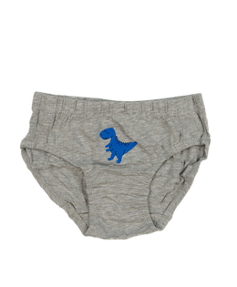 Nové šedé slipy s dinosaurem 