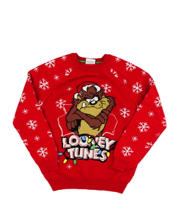 Červený vánoční svetr Looney Tunes Primark