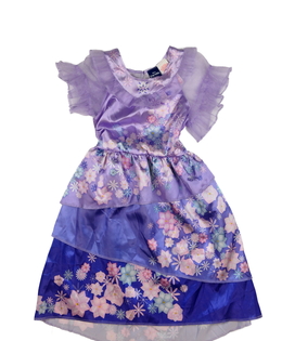 Krásné karnevalové fialové šaty Encanto Disney 