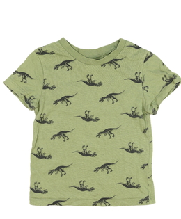 Zelené triko s dinosaury H&M