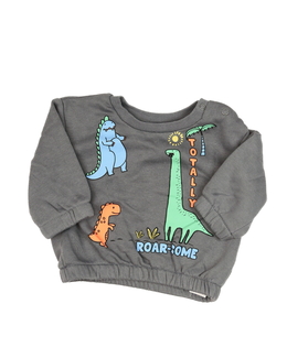 Šedá mikina s dinosaury Primark