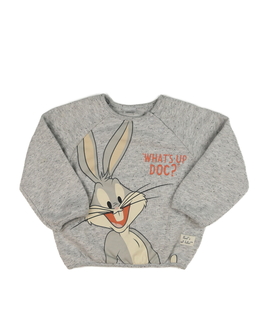 Šedá mikina Looney Tunes 