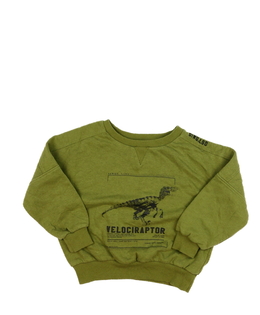 Zelená mikina s dinosaurem Firetrap