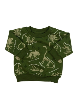 Zelená dinosauří mikina Primark