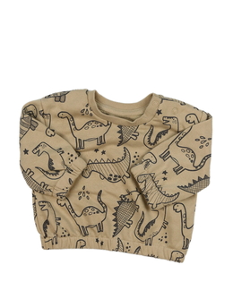 Hnědá mikina s dinosaury Primark 