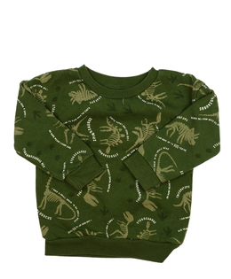 Zelená dinosauří mikina Primark 