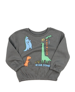 Šedá dinosauří mikina Primark 