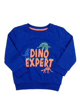 Modrá mikina s dinosaury F&F