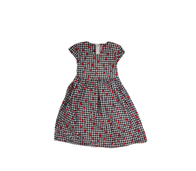 Kostkované šaty s třešněmi 