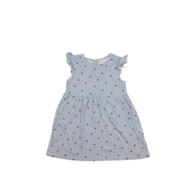 Modré pruhované šaty s jahodami H&M