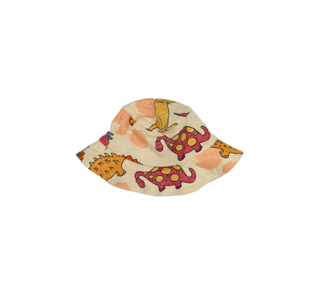 Hnědý klobouk s dinosaury George