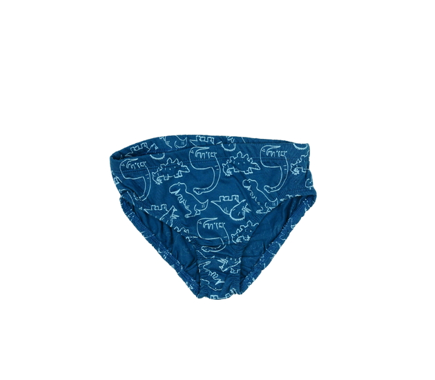 Nové modré slipy s dinosaury Nutmeg 