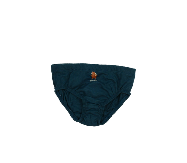 Nové tmavě modré slipy s medvědem Nutmeg