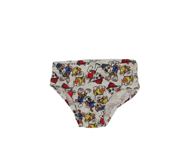 Nové šedé slipy Tlapková Patrola