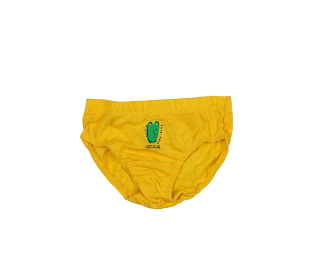 Nové žluté slipy s kaktusem F&F