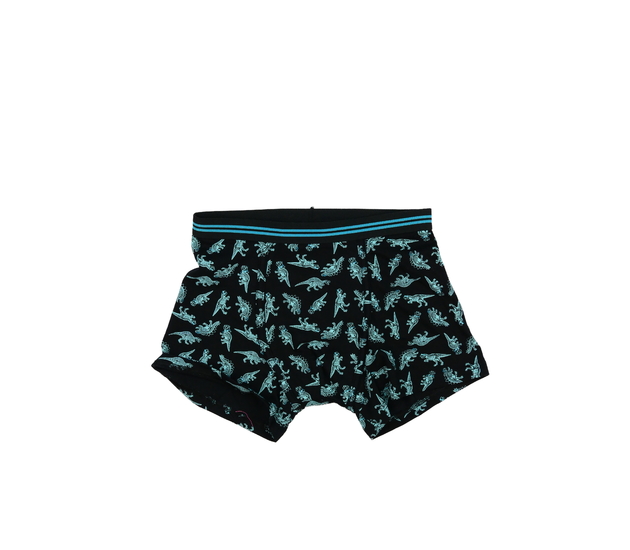 Nové tmavé dinosauří trenky Nutmeg 