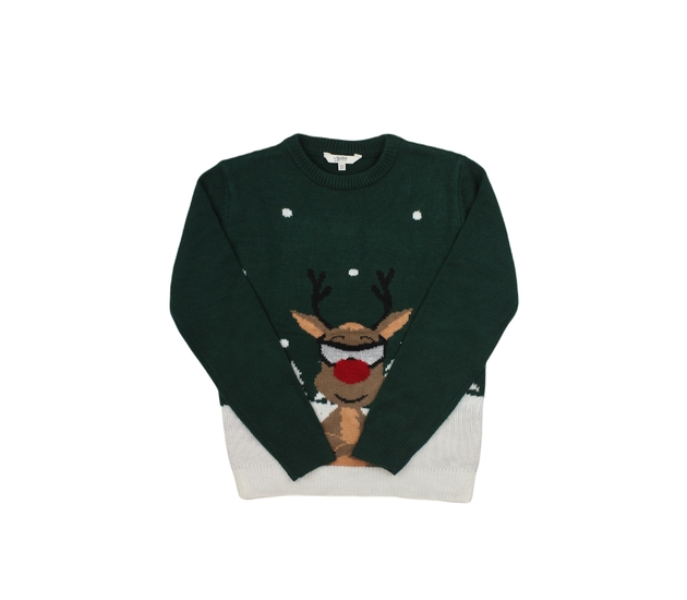 Zelený vánnoční svetr se sobíkem