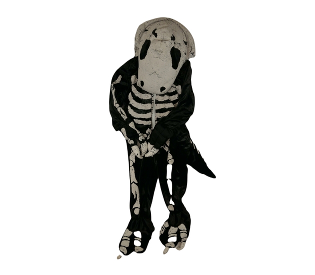 Karnevalový kostým dinosauří overal 