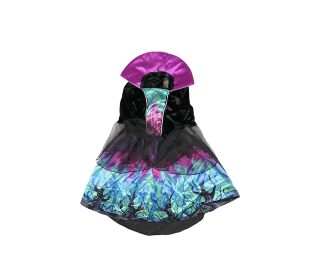 Karnevalové šaty princezna F&F