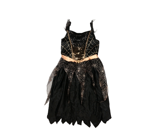 Černé krásné karnevalové šaty s pavoučkem Tu
