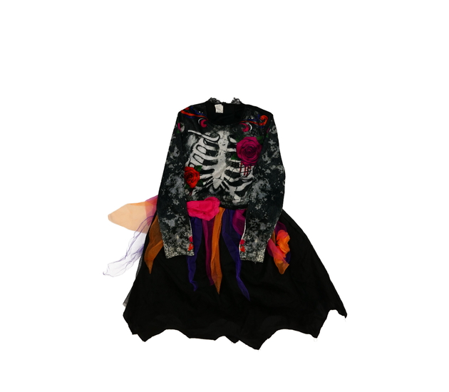 Karnevalové šaty s kostrou a růžemi 