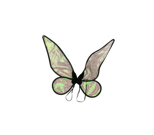 Karnevalové motýlí křídla