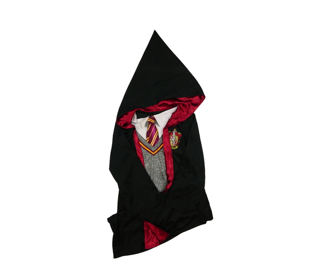 Karnevalový hábit Harry Potter