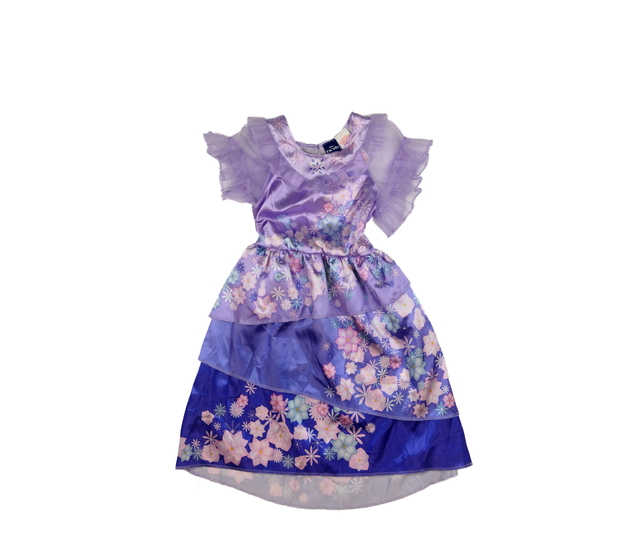 Krásné karnevalové fialové šaty Encanto Disney 