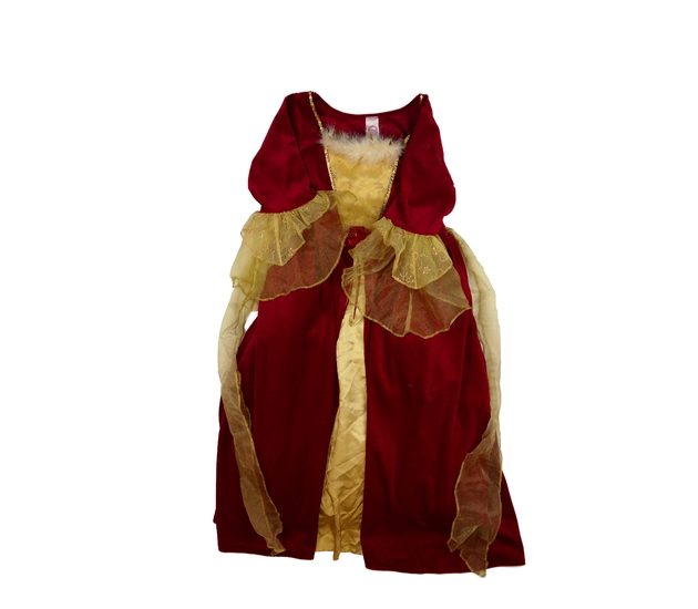 Princeznovské karnevalové šaty Disney 