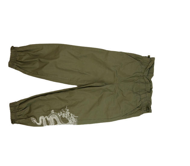 Zelené stylové kalhoty s drakem Primark 