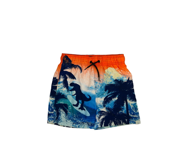 Barevné dinosauří plážové kraťasy Nutmeg