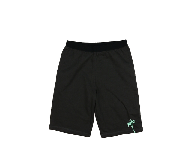 Šedé slabé kraťasy s palmou George