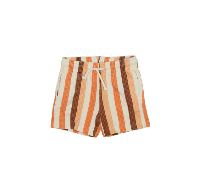 Barevně pruhované kraťasy Primark 