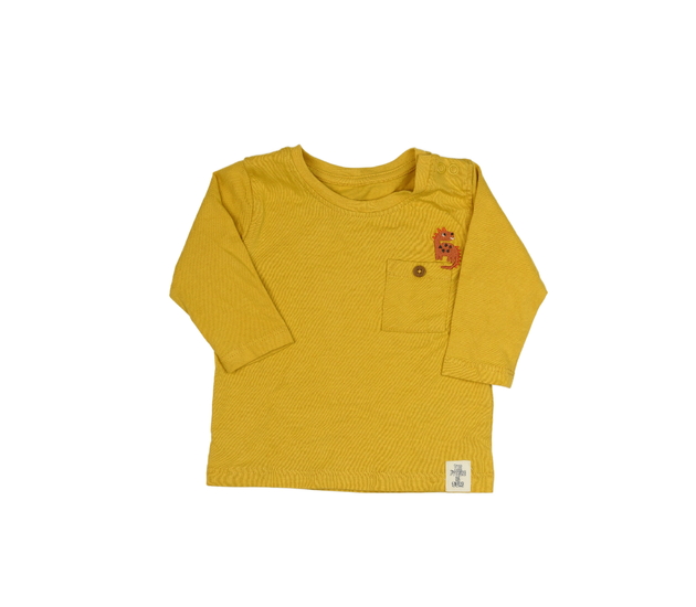 Hořčicové triko s dinosaurem M&S