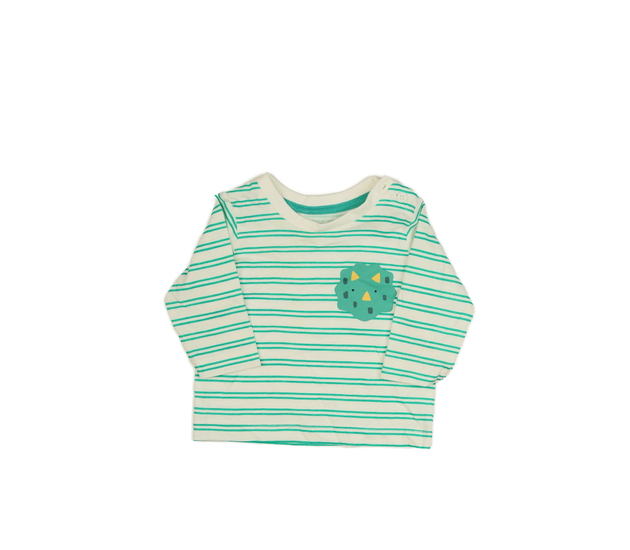 Zeleně pruhované triko s dinosaurem 
