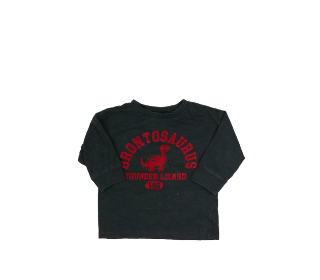 Šedé triko s dinosaurem Next