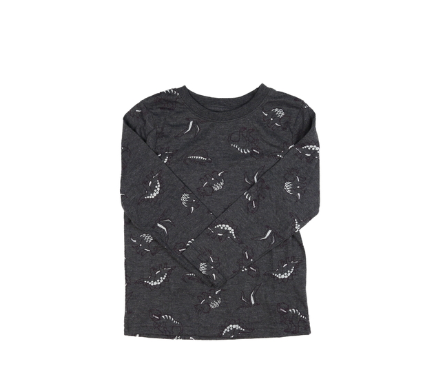 Šedé triko s dinosaury Nutmeg