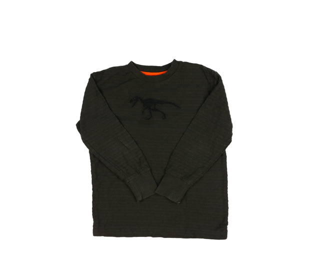 Tmavě hnědé triko s dinosaurem Next