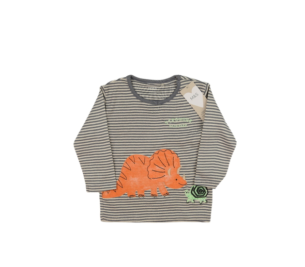 Nové světlé pruhované triko s dinosaurem M&S