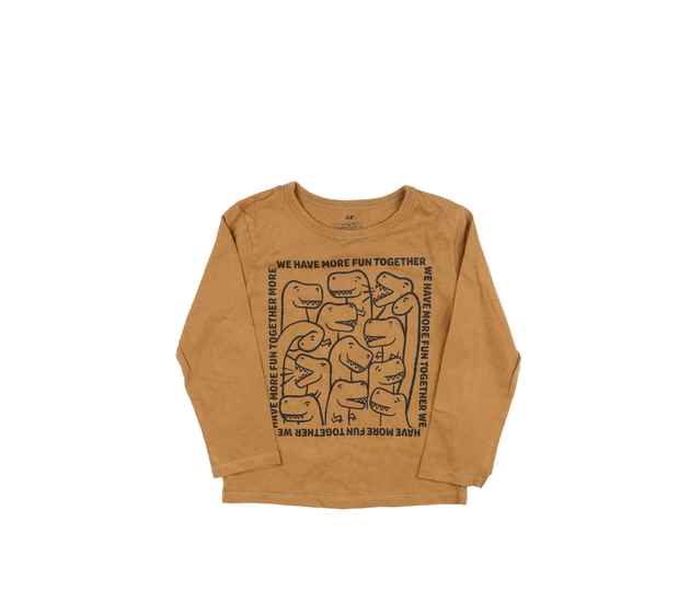 Hnědé triko s dinosaury H&M