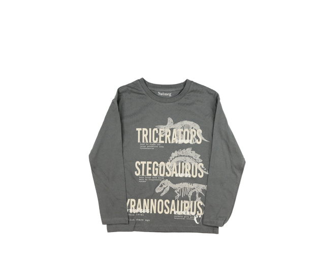Šedé triko s dinosaury Nutmeg