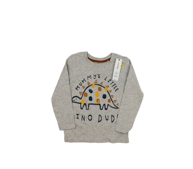 Nové šedé triko s dinosaurem George