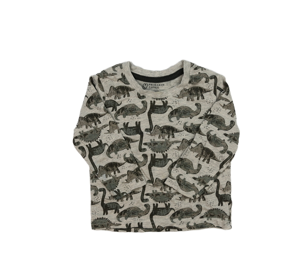 Šedé dinosauří triko Primark 