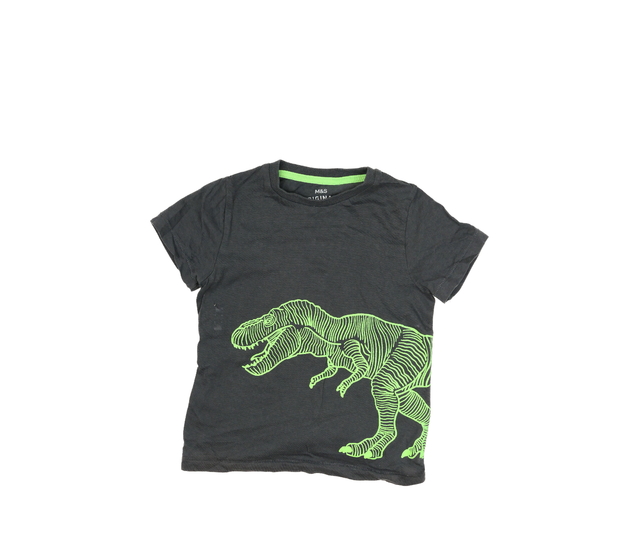 Šedé triko s dinosaurem M&S