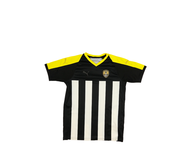 Vícebarevné sportovní triko Puma 