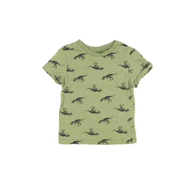 Zelené triko s dinosaury H&M