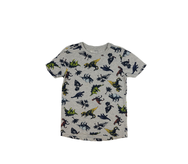Šedé triko s dinosaury Nutmeg 