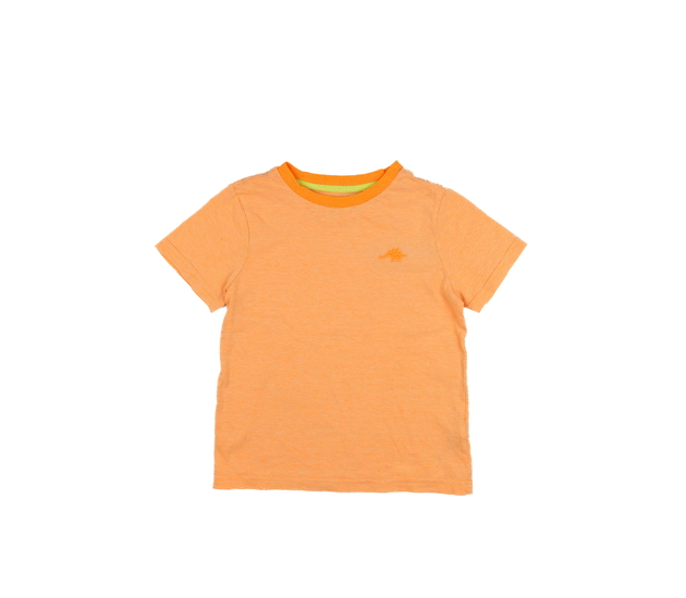 Oranžové triko s dinosaurem F&F